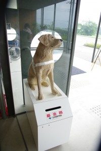 盲導犬協会募金箱